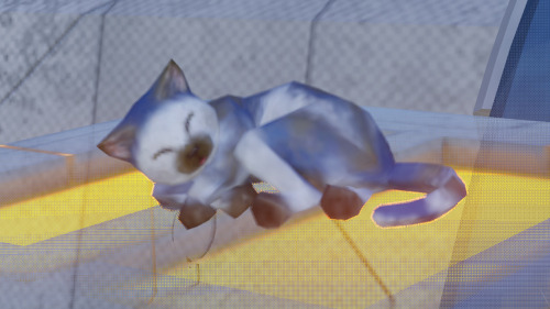 Cat From Phantasy Star Online 2: New Genesis