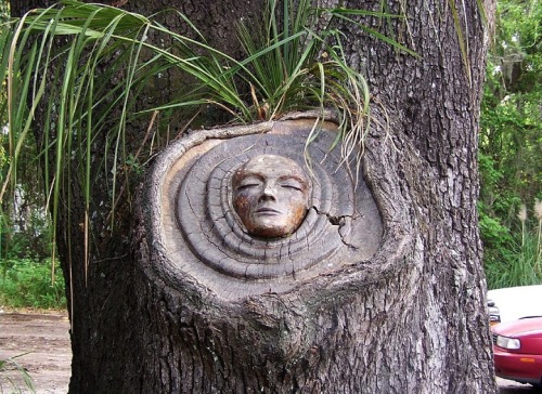 archiemcphee: Sculptor Keith Jennings carves sage and serene faces into the trunks of trees for a p