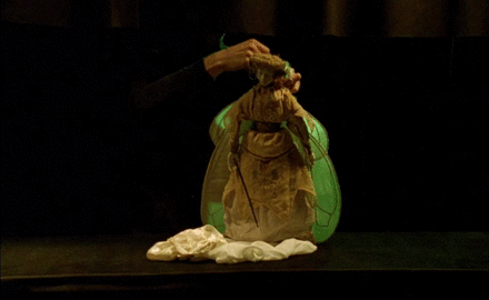 aqua-regia009: La double vie de Véronique (1991) - Krzysztof Kieslowski  