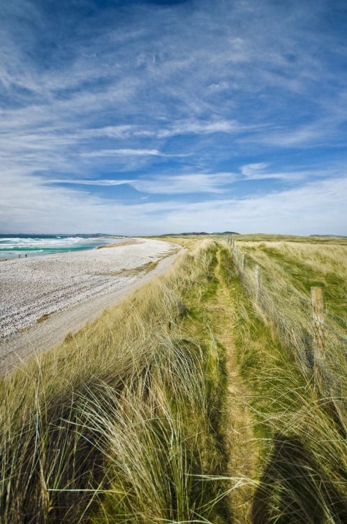 WINTERBERRY — Pollan Bay, Donegal, Ireland