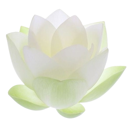 White Flower