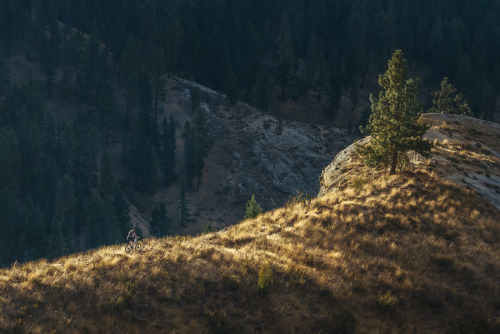 Nothing like being out on the trails first thing in the morning.Portfolio | Instagram