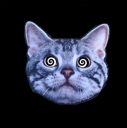 psychomami