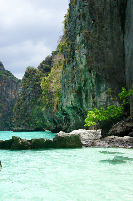 theencompassingworld:  earthdaily:  Phi Phi Islands, Thailand by burnlab on Flickr.