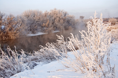 blissfully-winter: expressions-of-nature: Winter Morning : Anatoly Zverev all year round winter/xmas