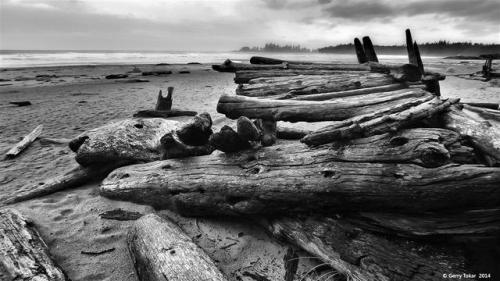 Driftwood…Pacific Rim National Park,Tofino, BC. Canada. ~ Coast to Coast ~ Shades of Black &a