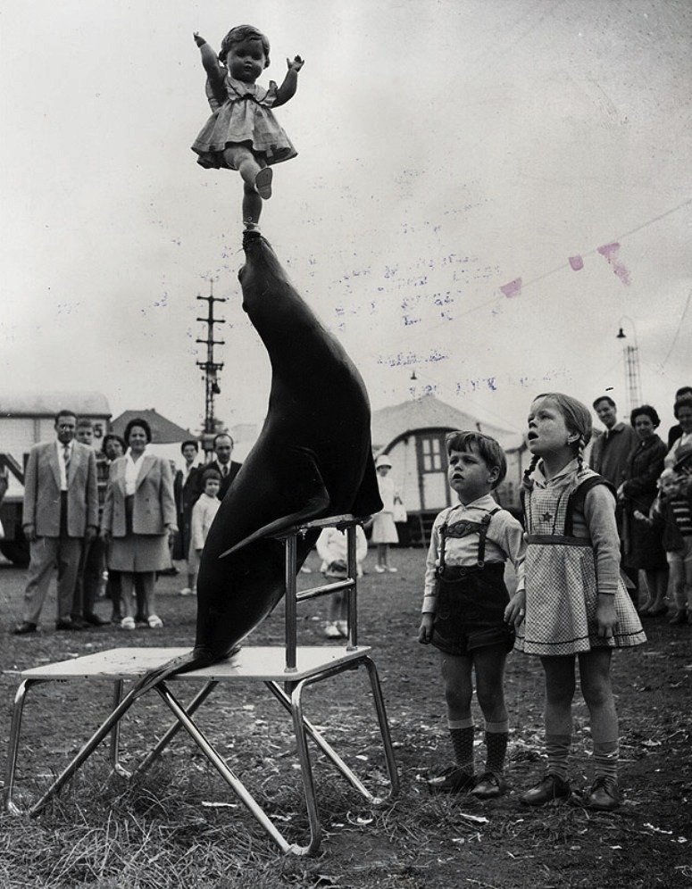 A seal puts on a show by balancing a doll before young viewers at a performance of the Krone Circus in Aachen, Germany, 1961.