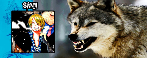 kemeyeo:  Random Edit: One Piece [24/?]  Characters + Animal Representatives Just my opinions, it’s fine if you disagree but please dont be rude about it :(  