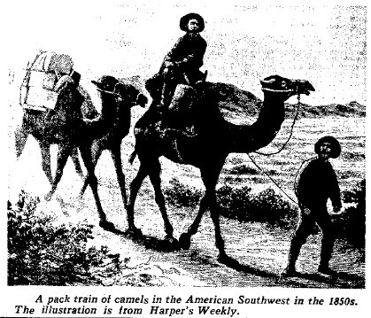 The 1st US Camel Corps, 1856.The use of camels for warfare has gone back for thousands of years as t