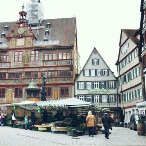phoenixtears - Cities & Moods - Tübingen, Germany Es blüht...