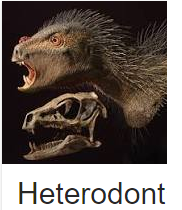skarchomp:  when ur straight friend about to do something stupid 