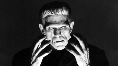 brundleflyforawhiteguy: THE UNIVERSAL MONSTERS