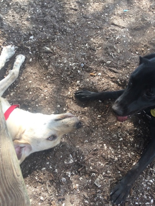 Banks made a new friend named Kennedy!