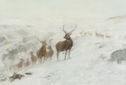 art-and-things-of-beauty:John Sydney Steel (British, 1863-1932) - Stags in a winter landscape, oil o