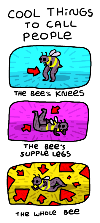misterhayden:Twitter // Gumroad // Website   