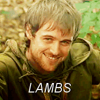 thewindwright:feste-the-spook:allforshipshipforall:Robin Hood“Rise and rise again, until lambs becom