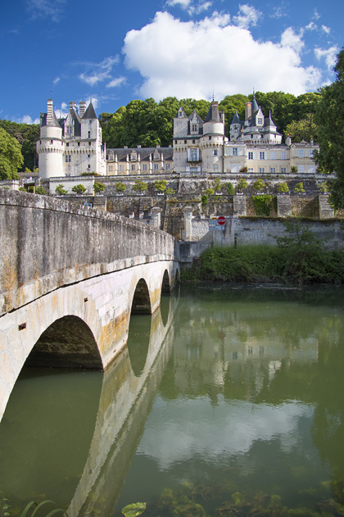 Loire Valley chateau-hopping.