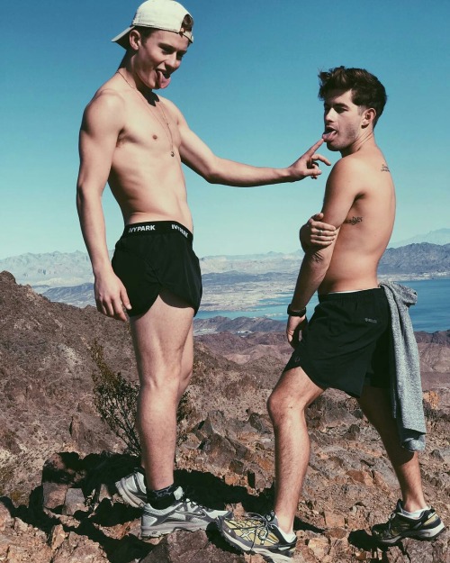 cocks and butts