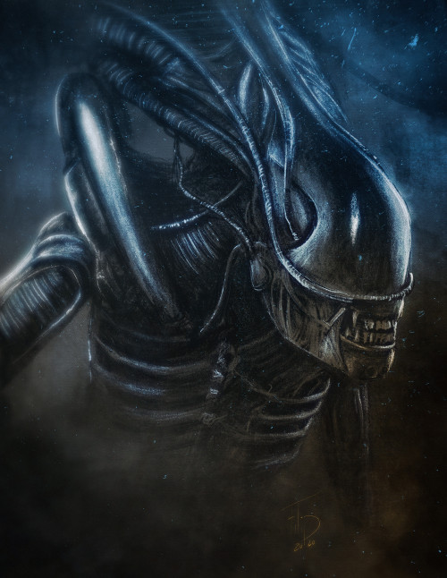 ex0skeletal-undead:Xenomorph sketch byFilip Ivanović