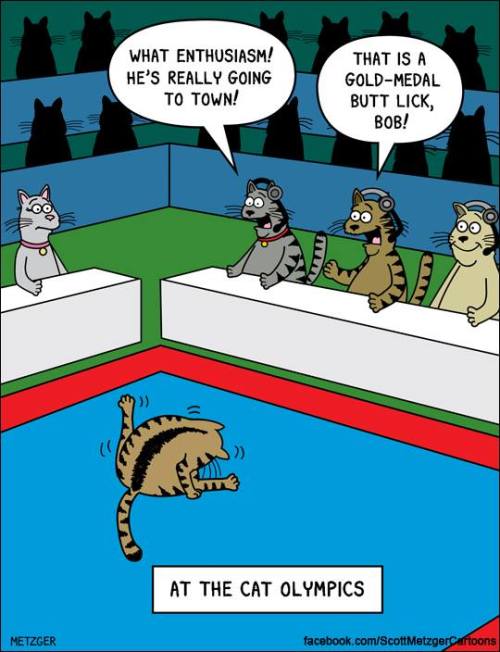 catsbeaversandducks:  By Scott Metzger Cartoons 