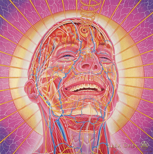 fuckyeahalexgrey: Alex Grey - Progress of the Soul pt. 76 “Laughing Man”