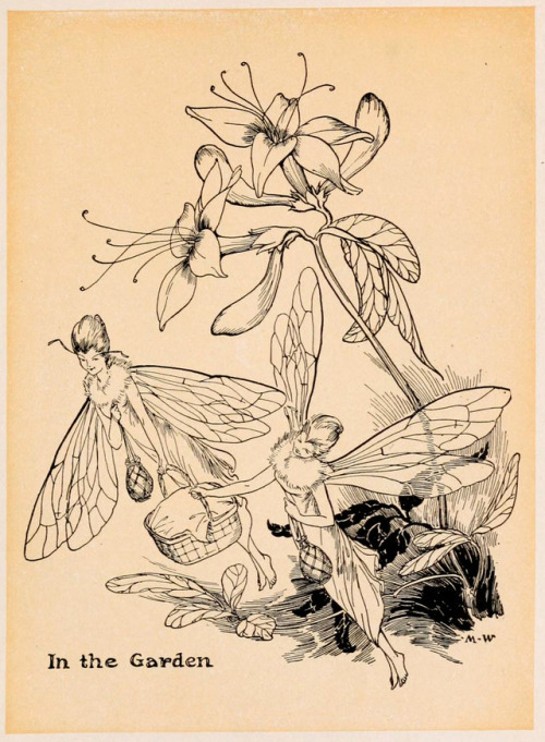 Milo Winter (1888-1956), &ldquo;Nuova - or, The New Bee&rdquo; by Vernon Lyman Kellogg, 1920Source