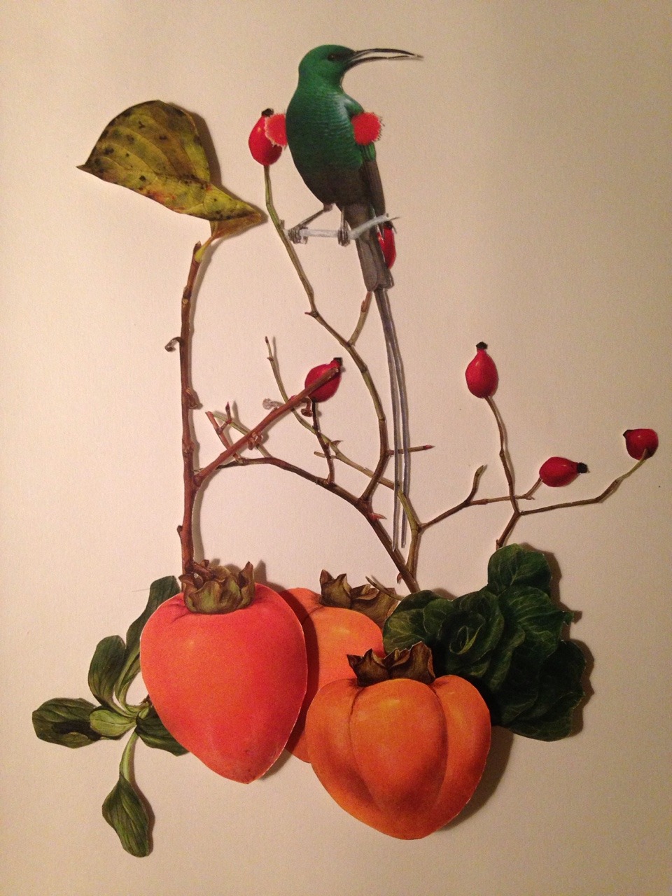 fernando-matehuala:  I always thank the ones who follow this space and always whine