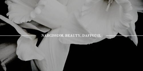 cronusfallen: Three Heroes/Mortals - Narcissus (3) He was known for his extreme beauty and arrogance