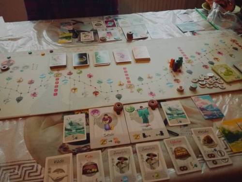 Tokaido with @owlc4tcher  {#polishgirl #poland #sunday #weekend #game #boardgame #gamegeek #boardgam