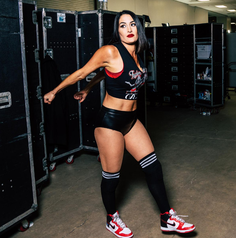 WWE, Other, Wwe Nikki Bella Socks