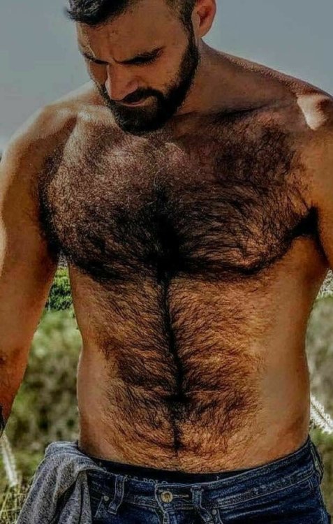 HAIRY INC. | https://hairyinc.tumblr.com | @hairyinc | Twitter | https://twitter.com/hairyinc 