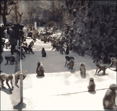 relatetable:  asvprock:  *When you have friends over and your mom brings home take