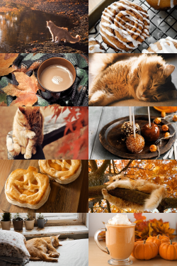 moodyhues: Ginger Cats + Autumn Aesthetic ; requested by anon