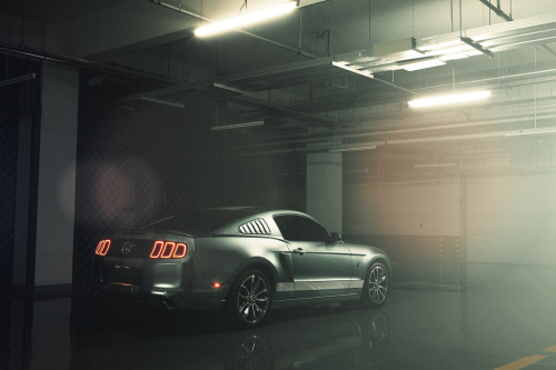 Sex automotivated:  crash—test:  Mustang (by pictures