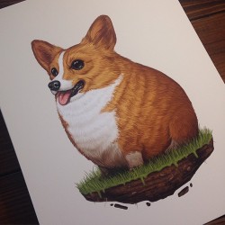 sirmitchell:  First look at the final Corgi print. These (and the cat &amp; hummingbird) should start shipping out in a week, maybe two. Sorry for the delay, these times editions are a long process.