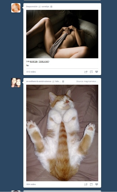 nightbecomesme:  beautyisaharlotedbigot:  i think this was too perfect  taylor! *dies* 