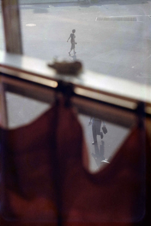 Saul Leiter, Red Curtain, New York City, 1956