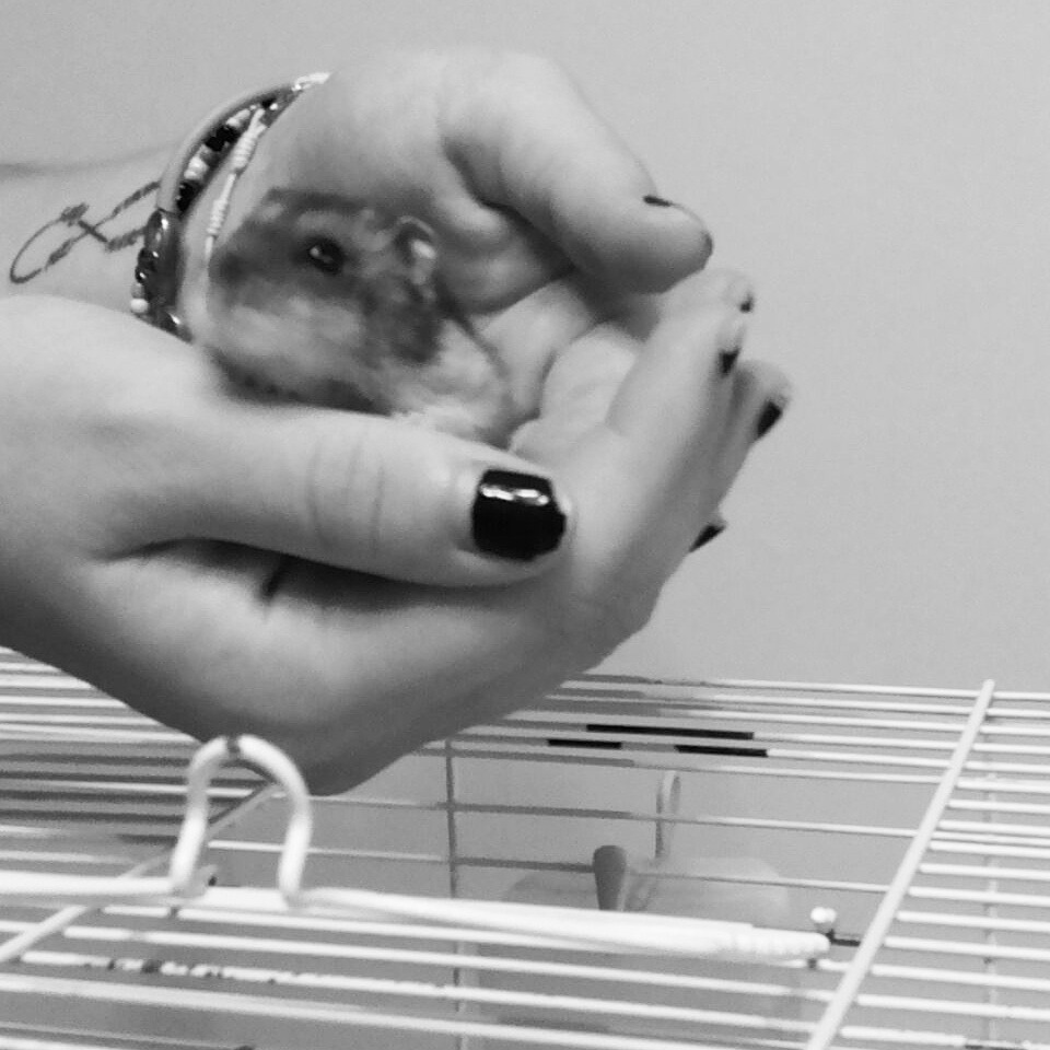 #me #mouse #love #lovely #sweet #:3 #small