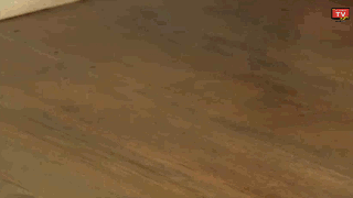 Hi fuckers
