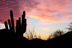 mouzeron:  Sunset, Scottsdale Arizona 2014 