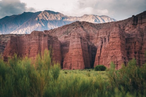 bokehm0n:Argentina throwback.