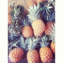 rosyblush:  alelula:  powher:  pineapples