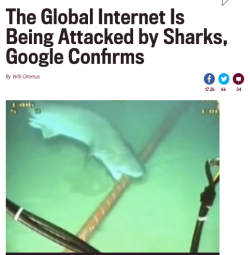 themidnitespookshow:  warning–known–fangirl:  septembriseur:  No headline will ever bring me as much joy as this.  *WiFi goes out*Those fucking sharks again I swear  fuckin’ SJWs! (Sharks that Jam Wifi)   The first thing you do, in war, is take