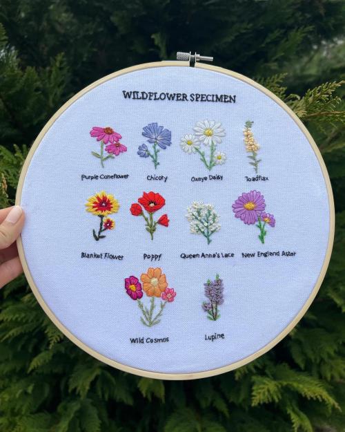 Wildflower specimen on a 10” hoop! bysimplicitethreads