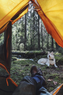 earth-dream:  Good Morning