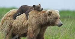 fridaybear:  You didn’t think Friday Bear would leave you hanging, did you?HAPPY FRIDAY FOLKS.