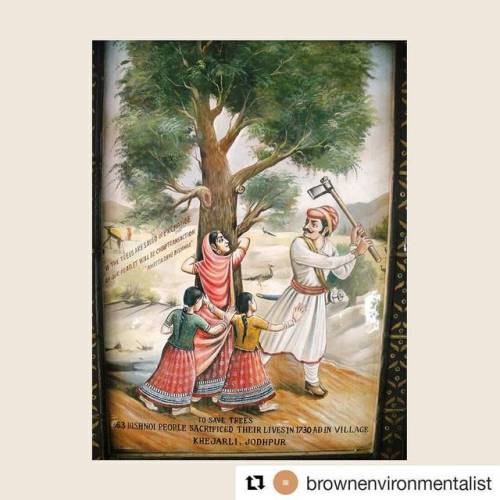 #Repost @brownenvironmentalist (@get_repost)・・・2/4: “A Short History on the First Tree Huggers”..Ind