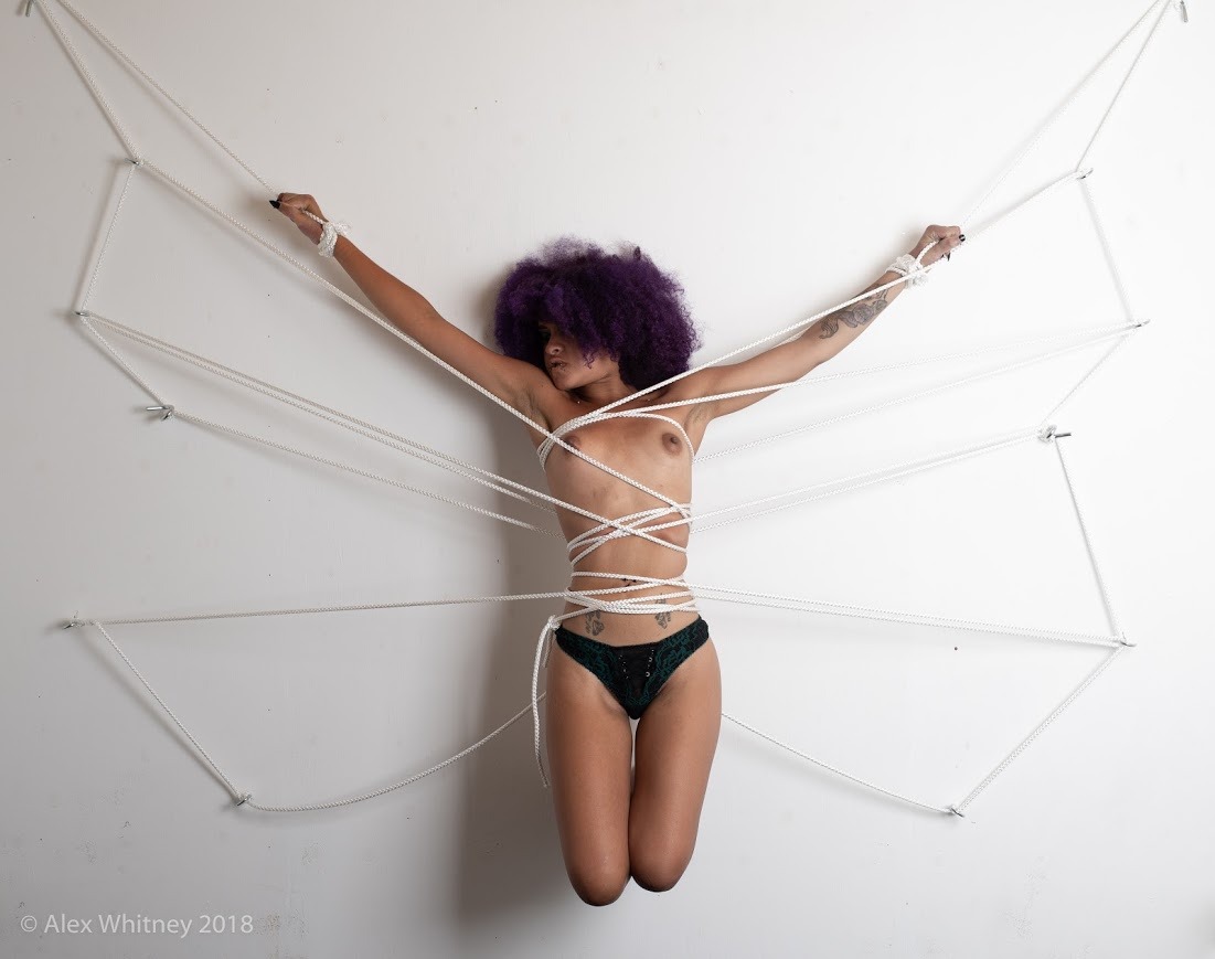 cathulcock:  Credits to dashwhiteny