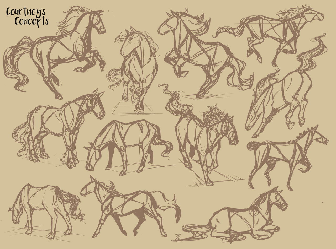 My favorite subject to doodle : r/Equestrian