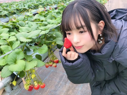 高倉萌香さんのツイート: うまうまいちご〜 果物の中で1番好きです t.co/n1NWpVQzQk